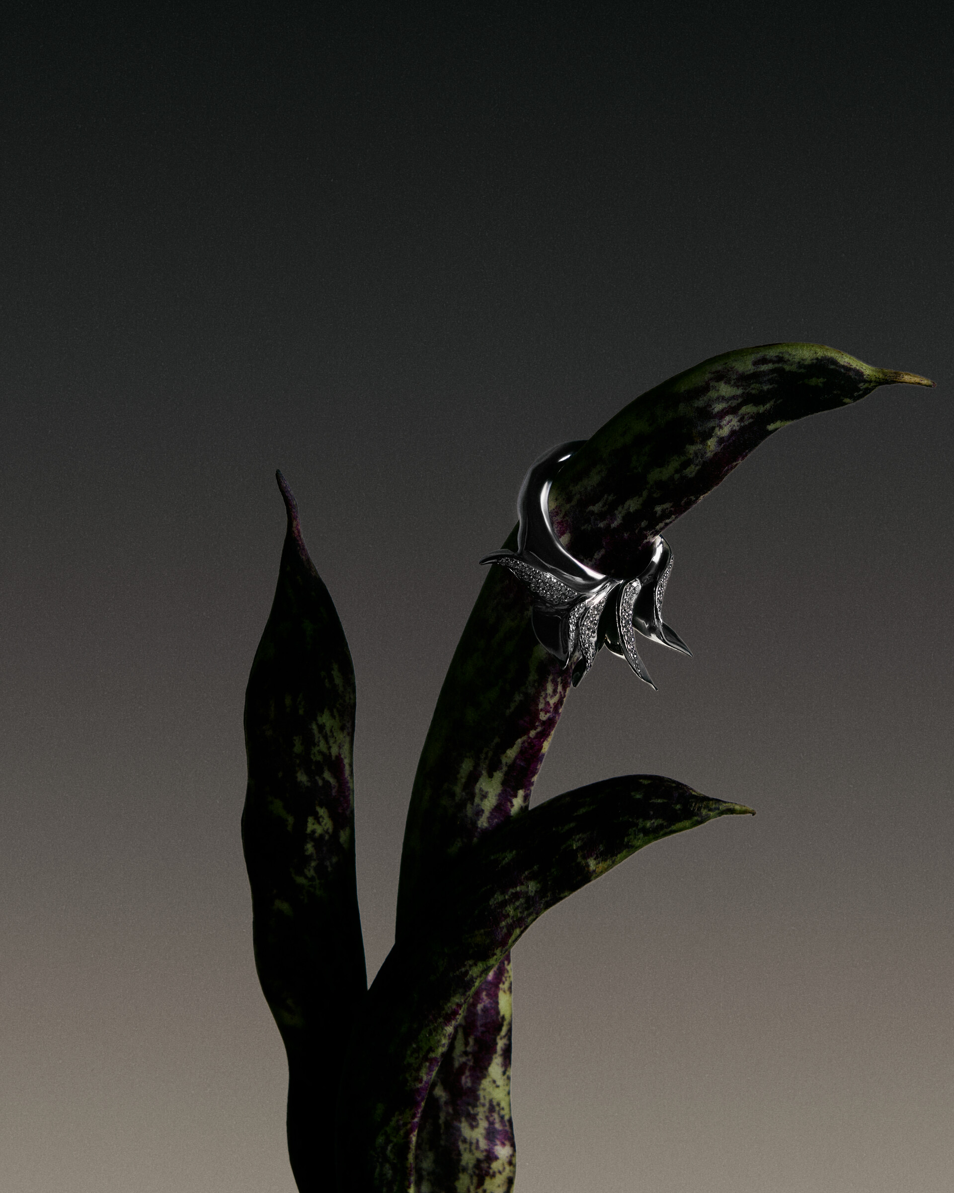 Caviar Jewellery, image 5